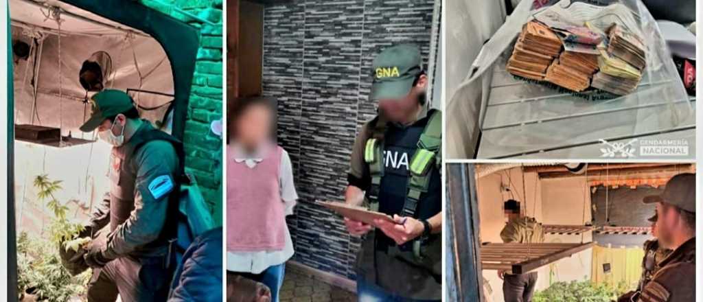 Detuvieron a 8 personas y decomisaron millones de pesos, d&oacute;lares y drogas