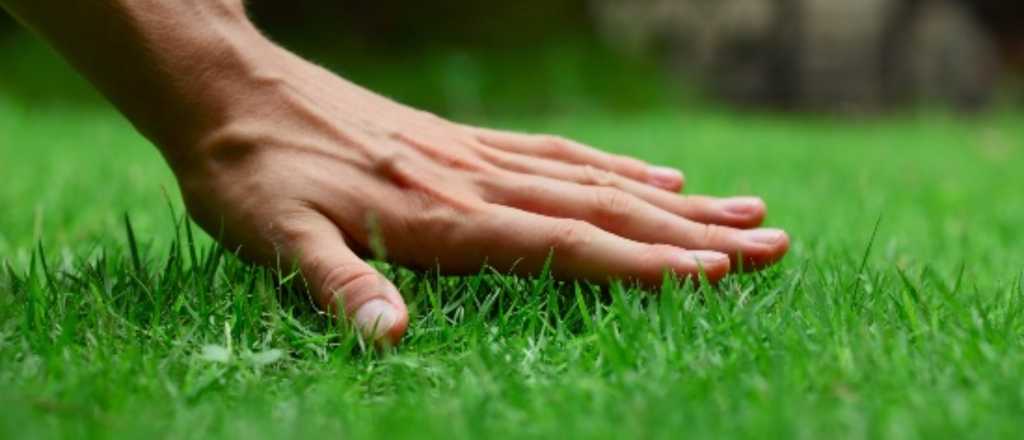 El secreto para un césped perfecto: cuándo y cómo sembrar en primavera