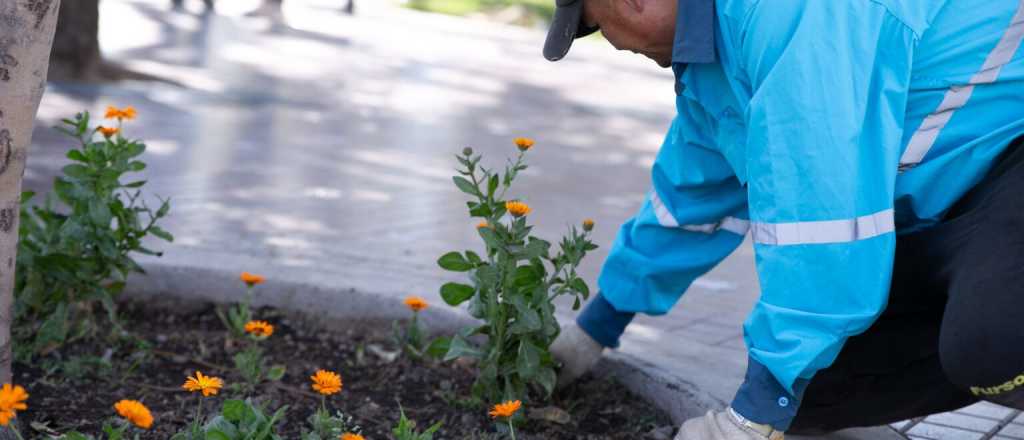 Ciudad celebra la llegada de la primavera con arte, música, y muchas flores