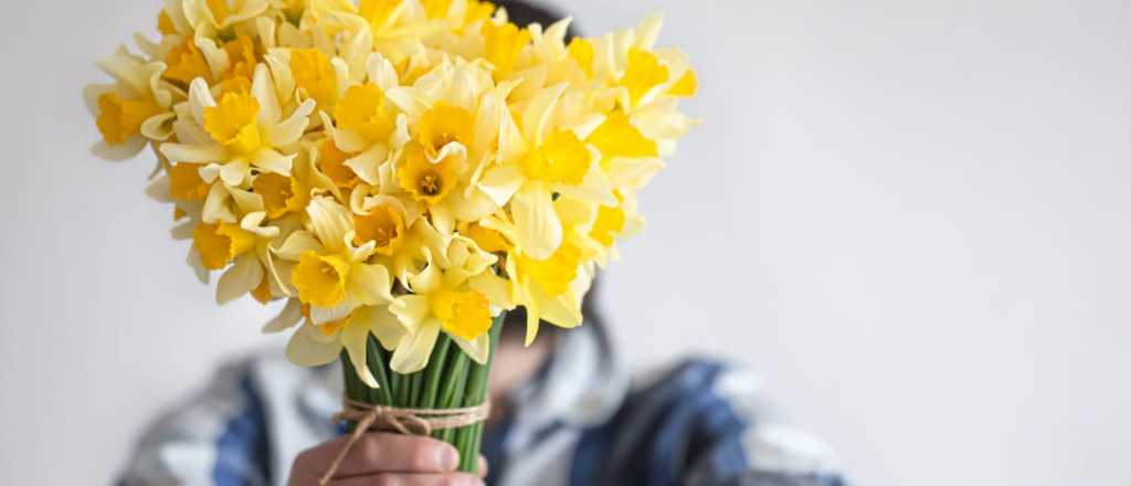 ¿Por qué todos regalan flores amarillas el 21 de septiembre y qué significa?