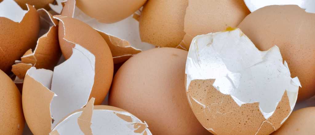 Cáscara de huevo con vinagre: el fertilizante que revoluciona los jardines