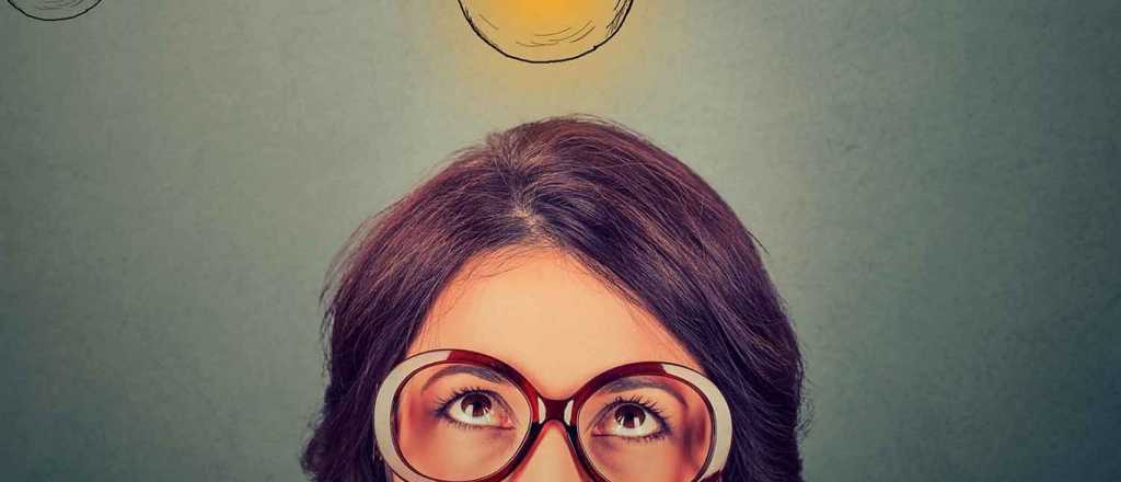 Desaf&iacute;o visual: &iquest;pod&eacute;s ver los 13 animales ocultos en la imagen?