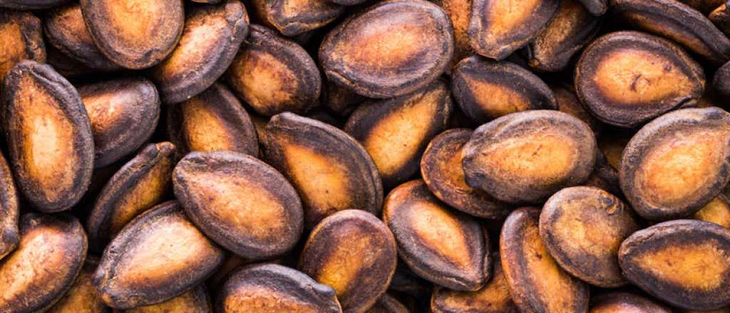 Esta es la semilla ideal para plantar en octubre y tenerla lista en verano