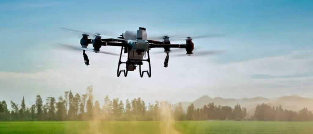 Drones para el agro mendocino: ¿tecnología accesible o un "sueño caro"?