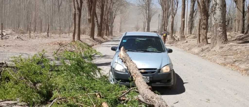 Fuertes r&aacute;fagas de viento Zonda en Uspallata