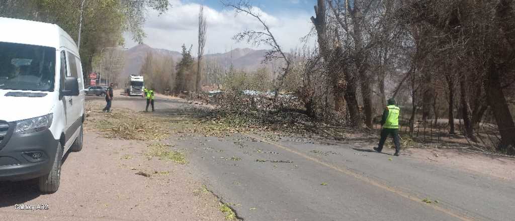 Alerta amarilla por viento Zonda: cuándo y a qué zonas afectará