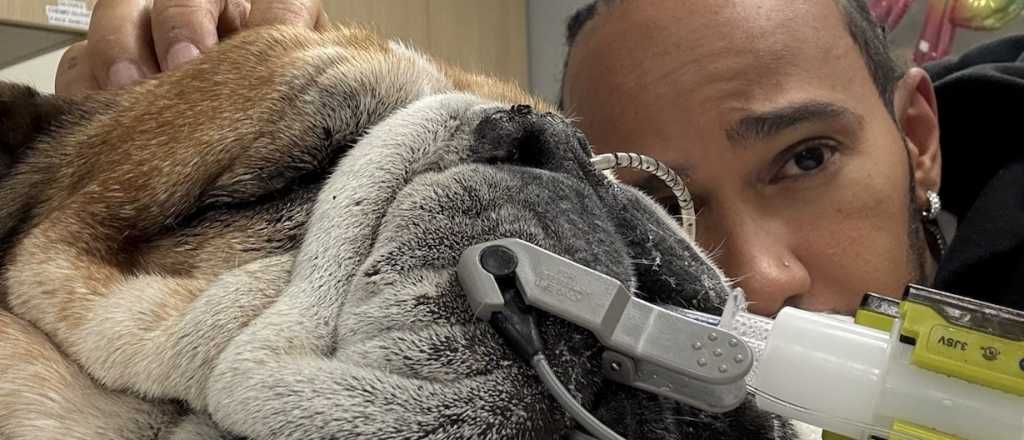 "No sabemos si despertará": el duro momento que atraviesa Lewis Hamilton