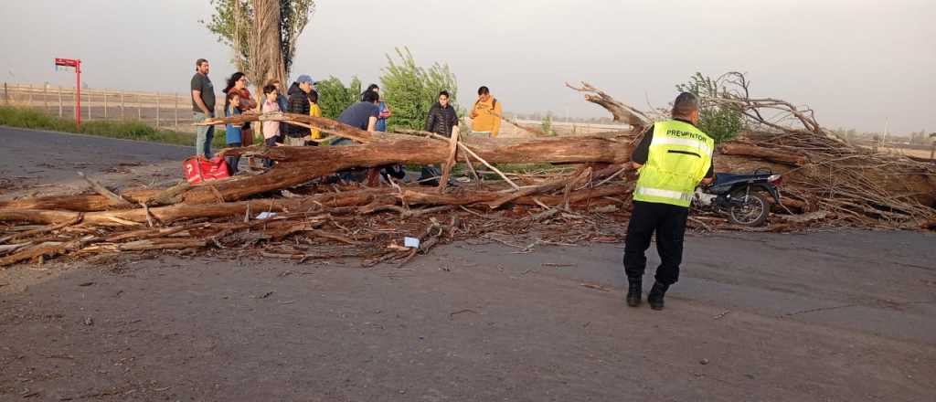 Sufrió una fractura expuesta al ser aplastado por un árbol en Las Heras