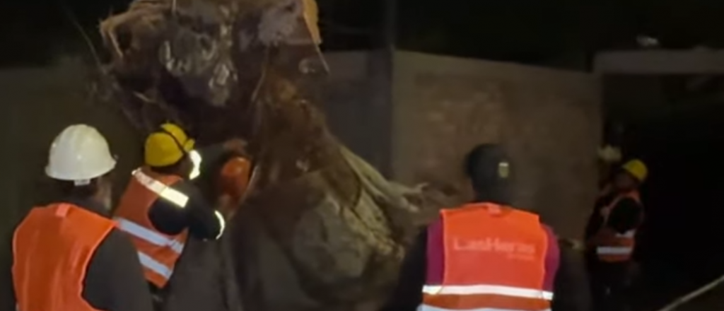 Una familia quedó atrapada en su casa: un árbol caído bloqueó la entrada