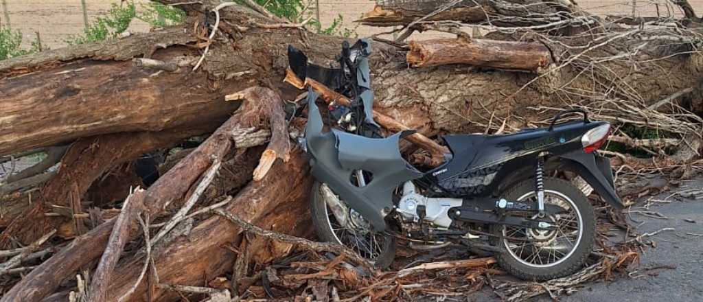 Una muerte, heridos y más de 400 incidentes por el viento que azotó a Mendoza
