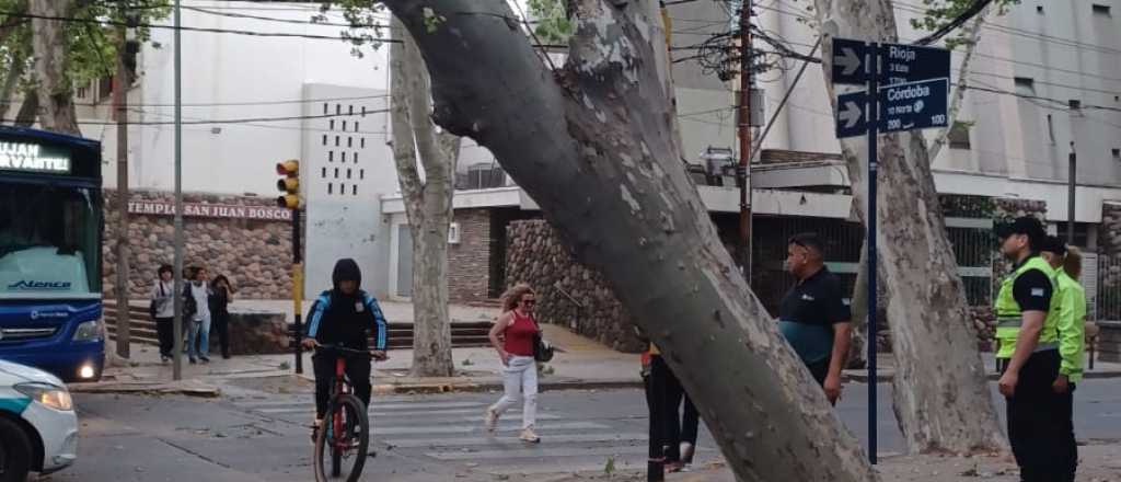 Tras el temporal del viernes, en Ciudad ya repararon casi todos los daños