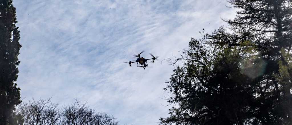 Ciudad usó drones por primera vez para la pulverización del arbolado
