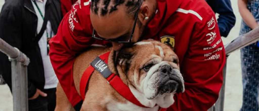 Murió Roscoe, el amigo inseparable de Lewis Hamilton