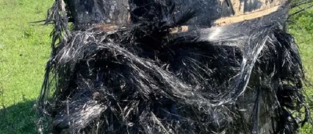 Revelaron qué es el raro objeto "peludo" que cayó del cielo en Chaco