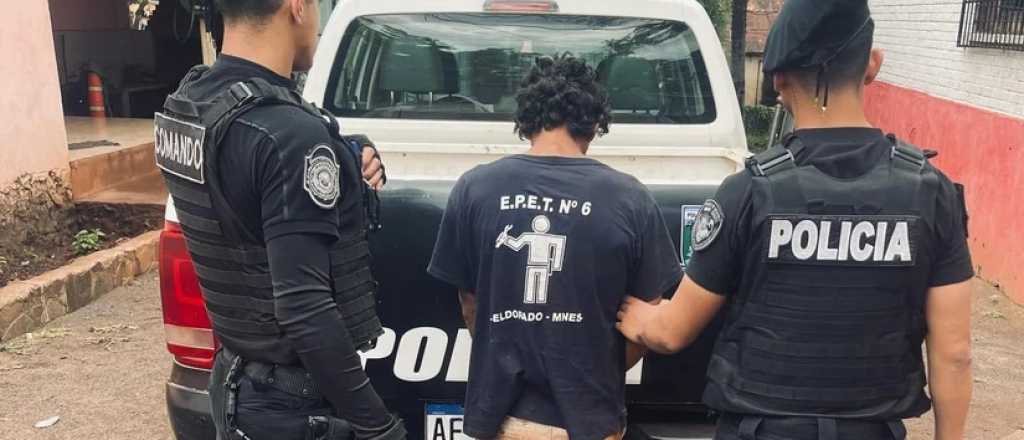 Detuvieron a "Teletubbi" y "Penayo" por cometer entraderas en Misiones