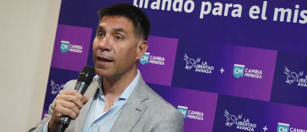 Correa Llano: "Con la macro ordenada, Mendoza será la principal provincia"