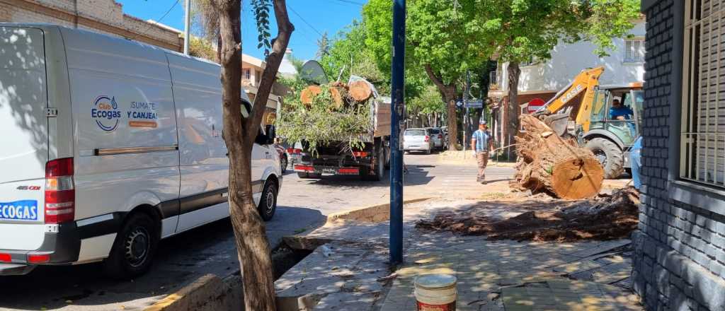 Fuga de gas en el barrio Bombal: removían un árbol y rompieron un caño