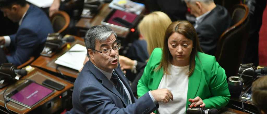 La oposici&oacute;n pide sesi&oacute;n y va con todo: reforma de DNU, Espert y Karina