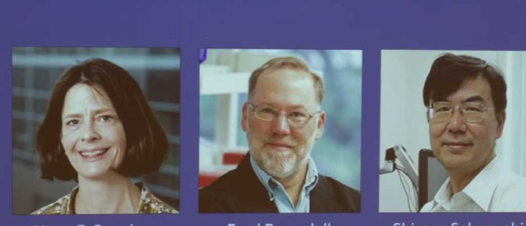 Tres científicos fueron distinguidos con el Premio Nobel de Medicina 2025