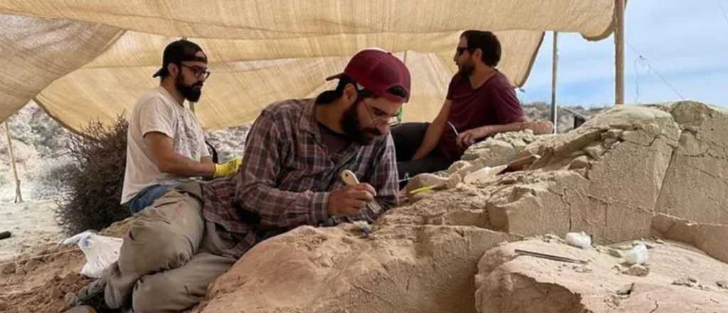 Comenzó el streaming del CONICET "Expedición Cretácica I" en Río Negro