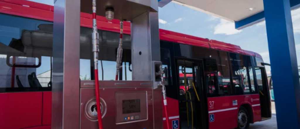 Mendoza incorpora nuevos colectivos a GNC al transporte público