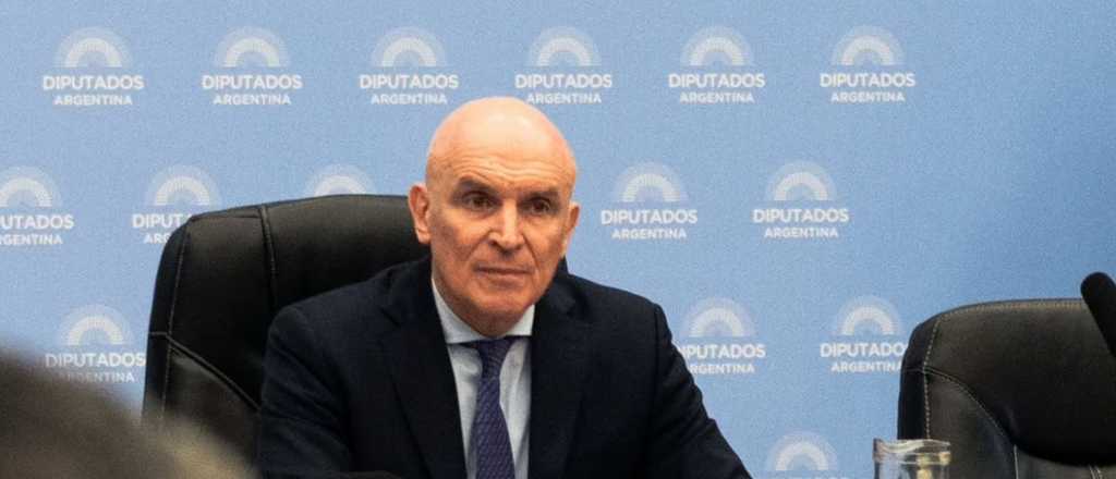 Espert pidió licencia hasta el final de su mandato