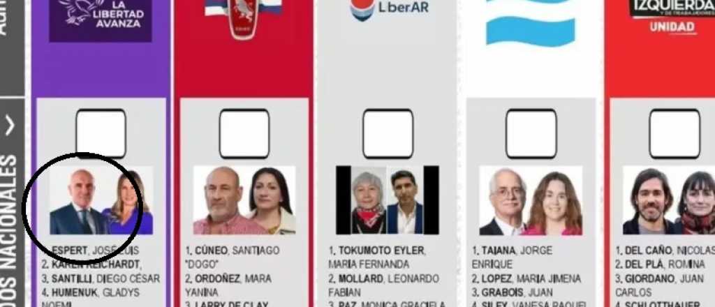 Reimprimir las boletas para reemplazar a Espert costaría $12 mil millones