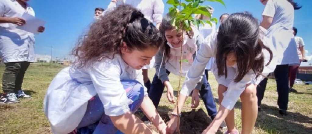 Sancionaron la Ley de Compromiso Ambiental Educativo: de qué se trata