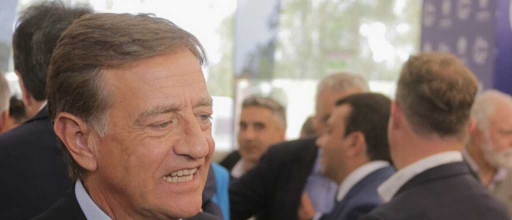 Suarez: "Buscamos tener los legisladores para sostener los vetos"