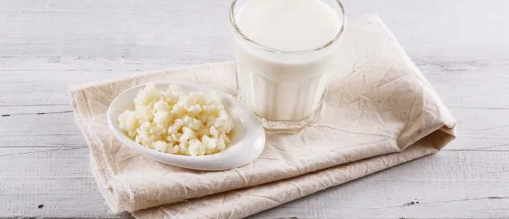 "Oro blanco": el fermento que ayuda a sentirse bien, según la ciencia