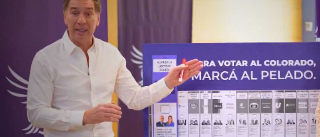 Revuelo por el spot de Santilli: "Para votar al colorado, marcás al pelado"