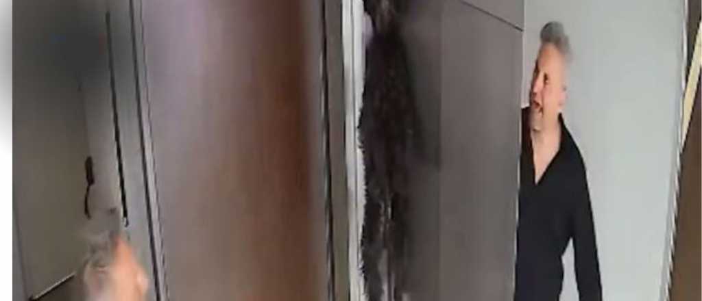 Video: un perro quedó colgado del ascensor y un vecino lo salvó con RCP