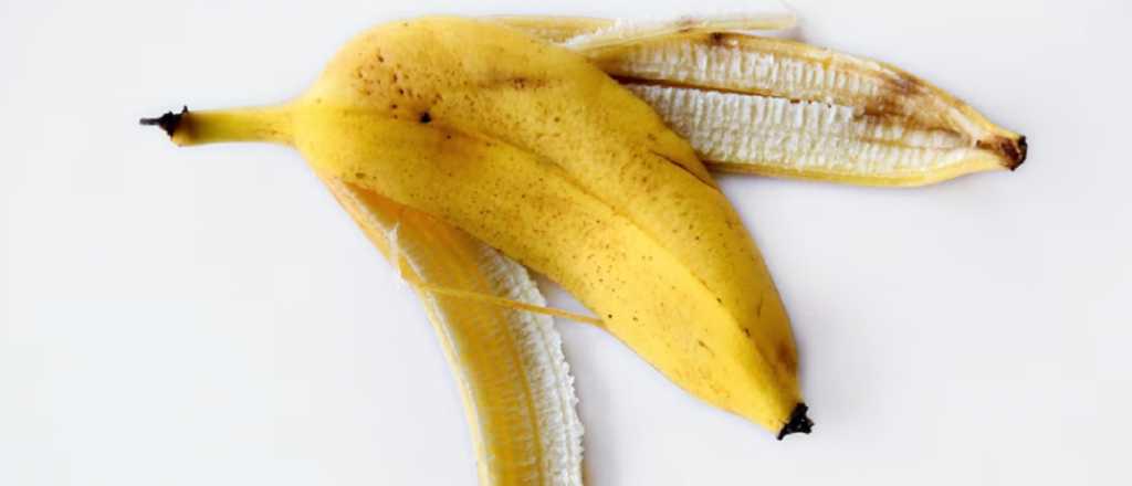 Una buena idea: c&oacute;mo usar c&aacute;scara de banana como fertilizante 