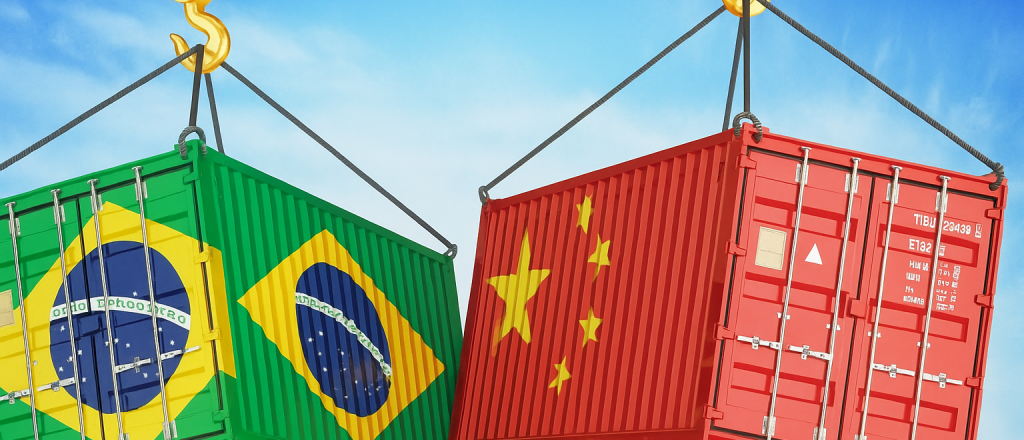 China desplazó a Brasil como principal socio comercial de la Argentina