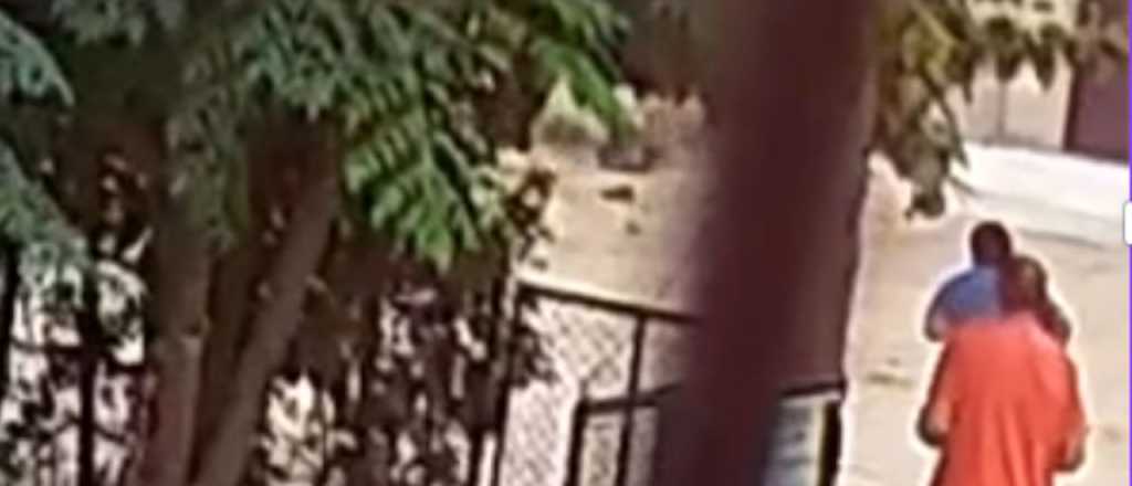 El video del momento del ataque de los pitbull al trabajador en Las Heras