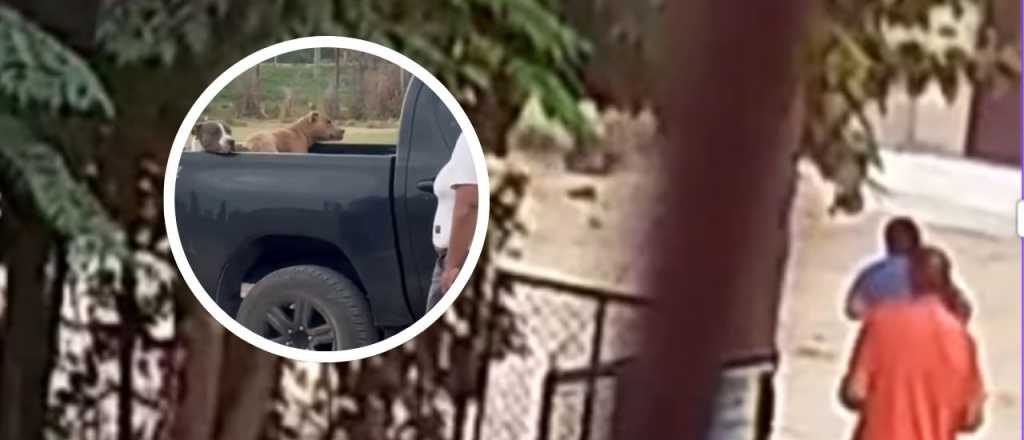 El video del momento del ataque de los pitbull al trabajador en Las Heras