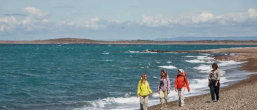 Un viaje por los sabores del mar patagónico que une paisajes y cocina