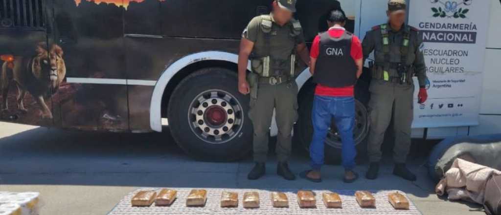 Viajaba con 30 kilos de marihuana en un colectivo rumbo a Mendoza