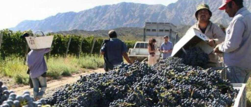 Mendoza reabre la paritaria de contratistas de viñas y frutales