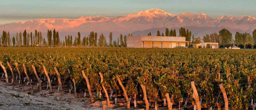 Quince bodegas de Mendoza quedaron entre las mejores del mundo