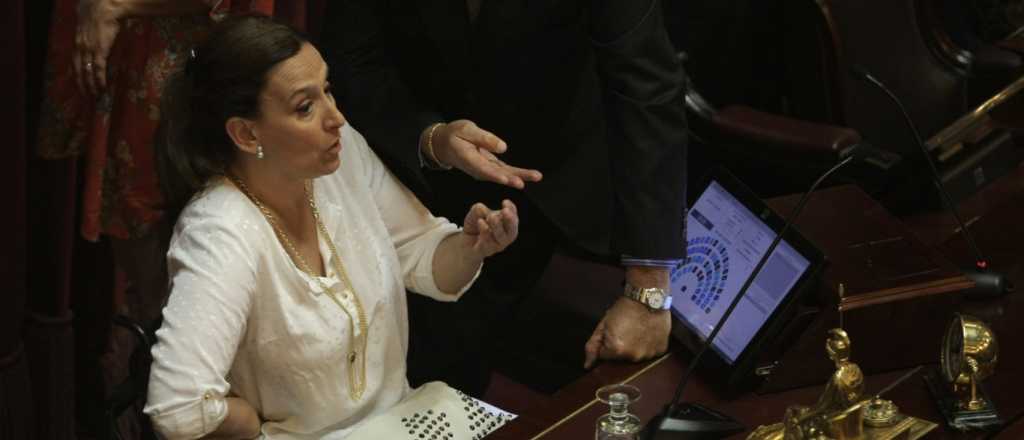 Michetti pidió sesión especial del Senado para tratar el despacho de CFK