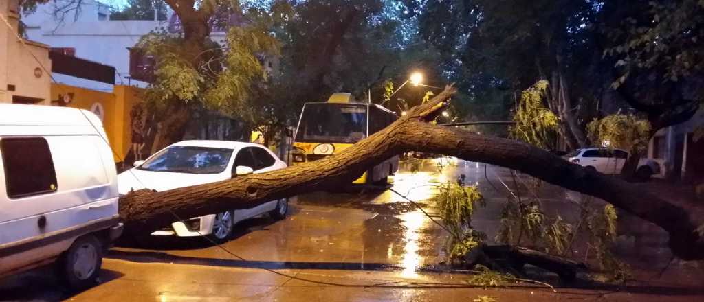 Mendoza no es la única, rige una alerta por tormentas en 10 provincias 