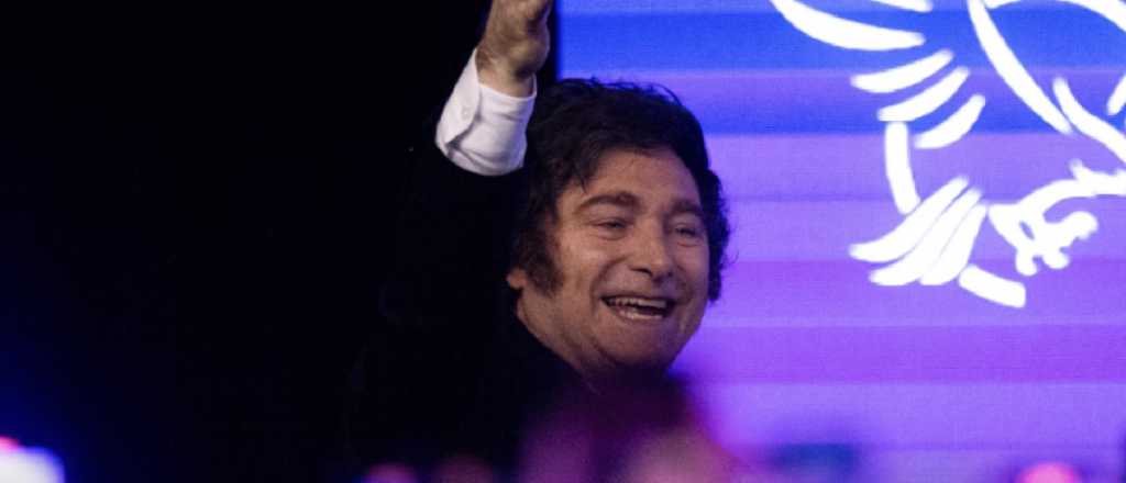 "A pintar de violeta todo el pa&iacute;s": el mensaje navide&ntilde;o de Milei