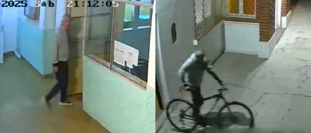 Video: buscan al "ladrón de la misa" de San Rafael