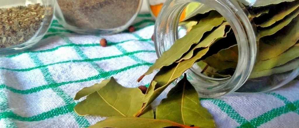 El ritual para atraer abundancia en esta luna creciente