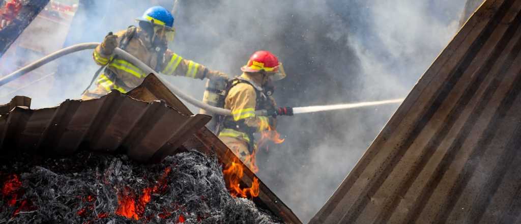 Murieron 70 cerditos en un incendio en San Rafael