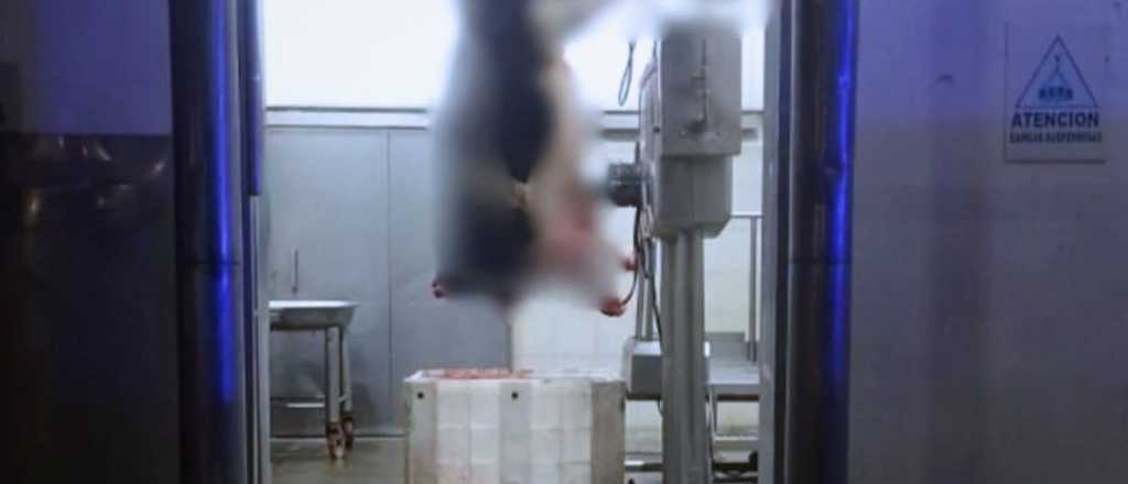 Murió un hombre mientras trabajaba en un frigorífico