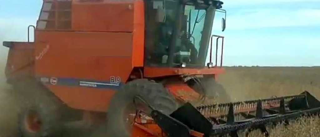 Robaron una cosechadora de una finca de San Carlos