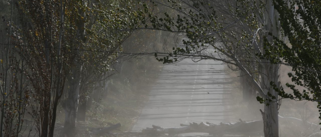 Zonda, nevadas y tormentas: se espera un viernes agitado en Mendoza