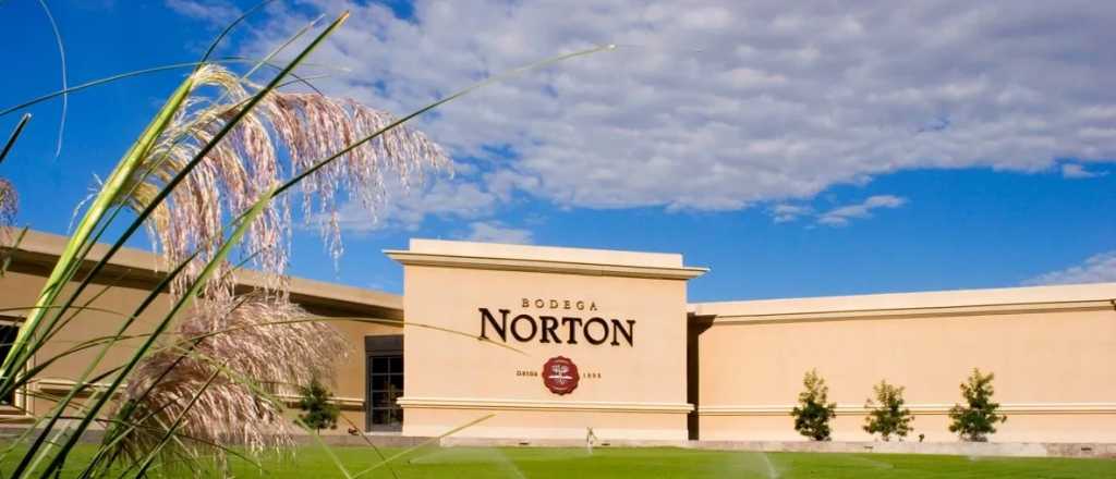 Bodega Norton pidi&oacute; concurso de acreedores por deudas millonarias